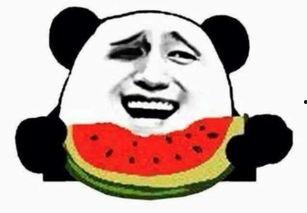 娱乐吃瓜素材在哪找啊,揭秘娱乐吃瓜素材的搜集秘籍