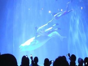 故事表演背景音乐,故事表演背景音乐背后的故事